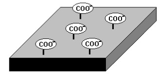 functional.jpg (10300 Byte)