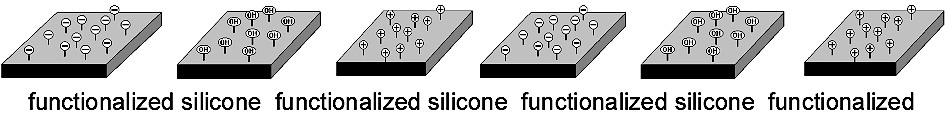 functionalizesilicone.jpg (41890 Byte)